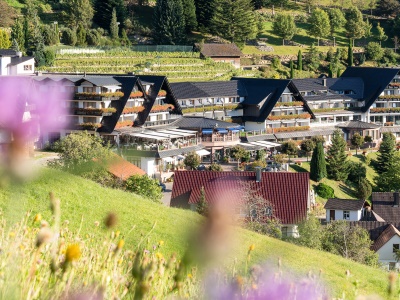 Hotel Dollenberg nabízí v městečku Bad Peterstal-Griesbach v Černém lese vše, o čem se vám kdy snilo.