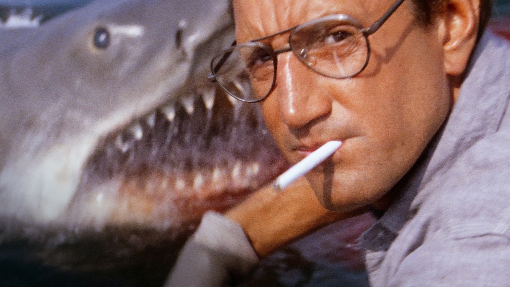 Letos milovníci žraločích hororů oslavili padesáté výročí kultovního filmu Čelisti.