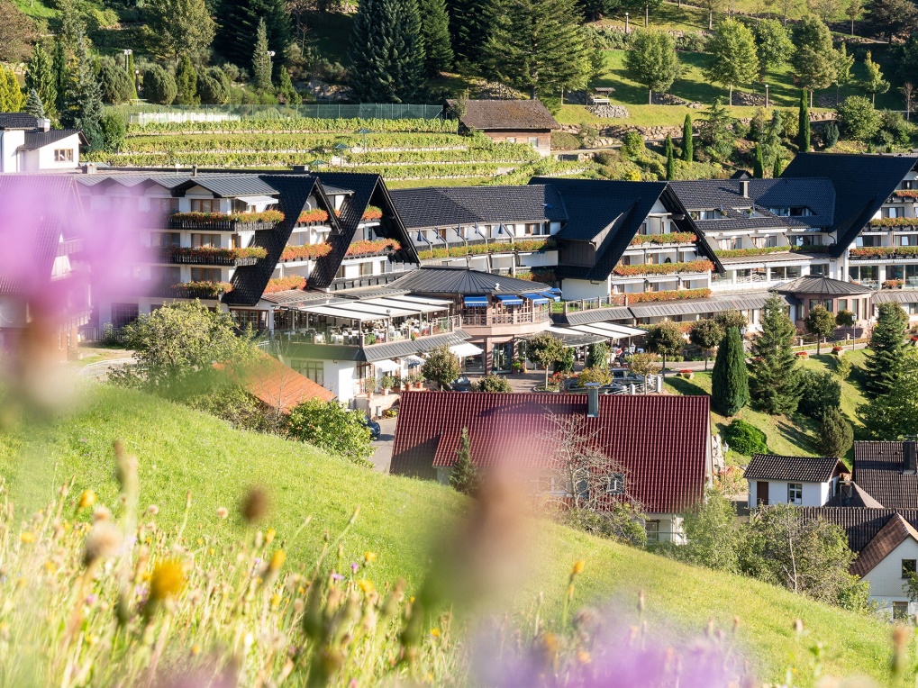 Hotel Dollenberg nabízí v městečku Bad Peterstal-Griesbach v Černém lese vše, o čem se vám kdy snilo.